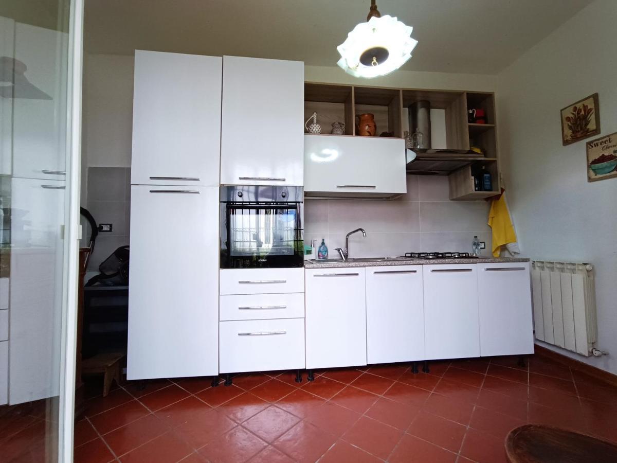 Cozy Apartment Near The City Walls Lucques Extérieur photo